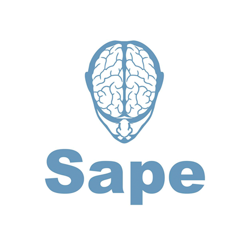 Sape.ru: Лучшее SEO-агентство 2018 года